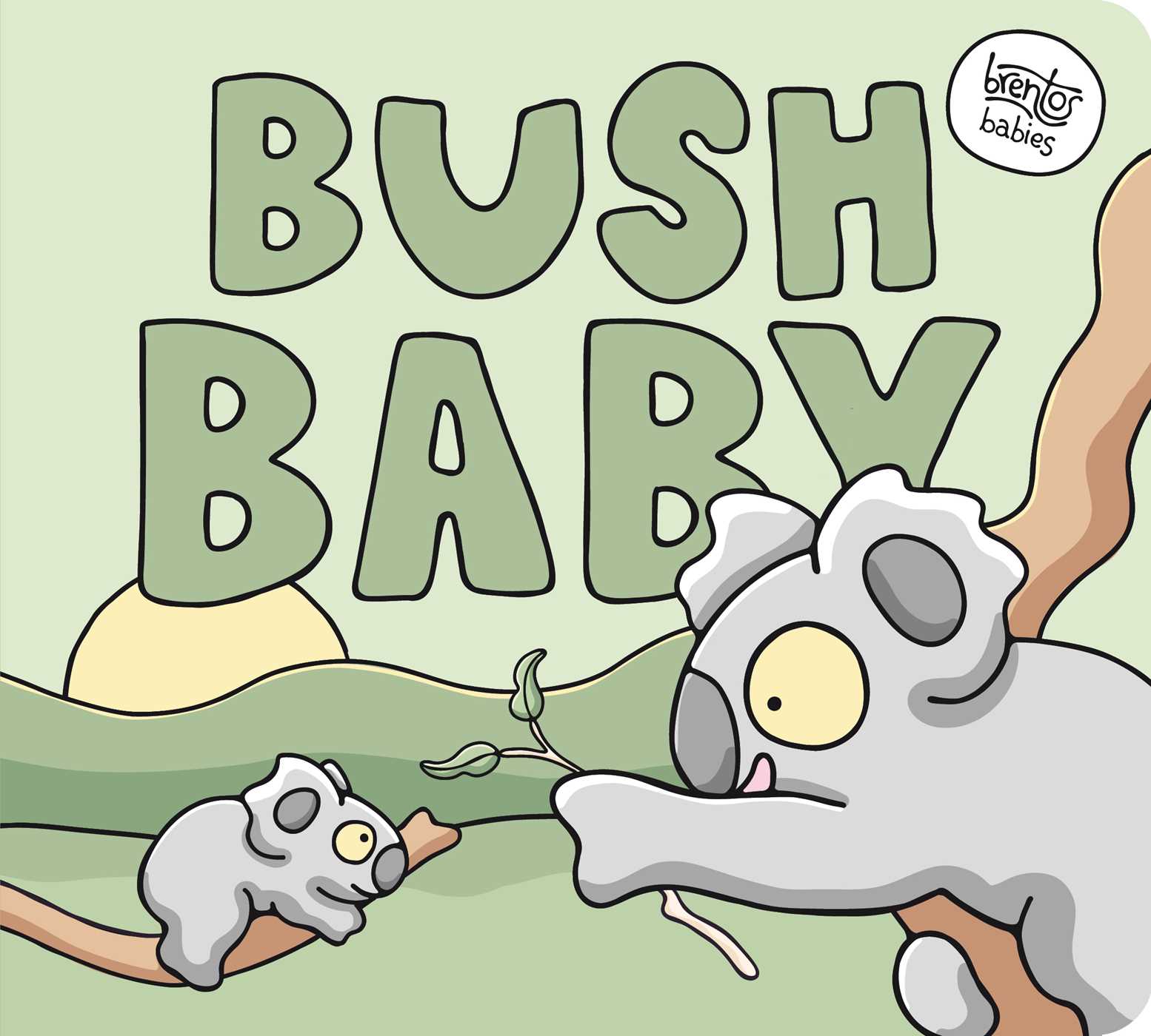 Bush Baby book cover